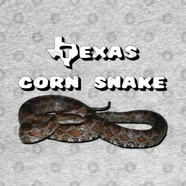 Texas Corn Snake by Paul Prints